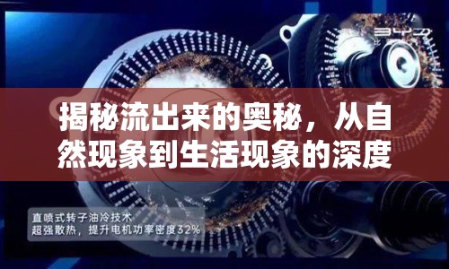 揭秘流出來的奧秘，從自然現象到生活現象的深度解析
