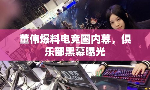 董偉爆料電競?cè)?nèi)幕，俱樂部黑幕曝光