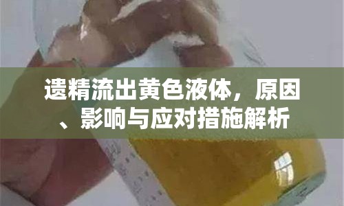 遺精流出黃色液體，原因、影響與應(yīng)對(duì)措施解析