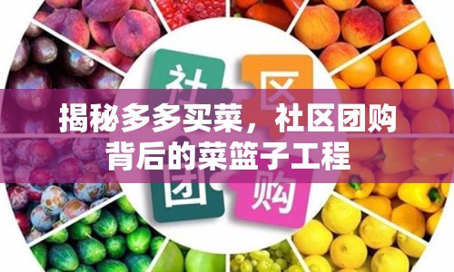 揭秘多多買菜，社區(qū)團(tuán)購(gòu)背后的菜籃子工程
