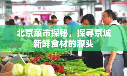 北京菜市探秘，探尋京城新鮮食材的源頭