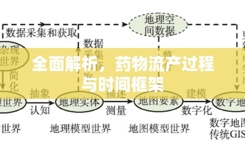 全面解析，藥物流產(chǎn)過程與時(shí)間框架