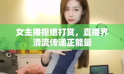 女主播拒絕打賞，直播界清流傳遞正能量