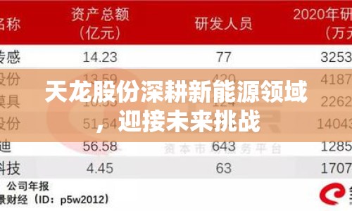天龍股份深耕新能源領(lǐng)域，迎接未來挑戰(zhàn)