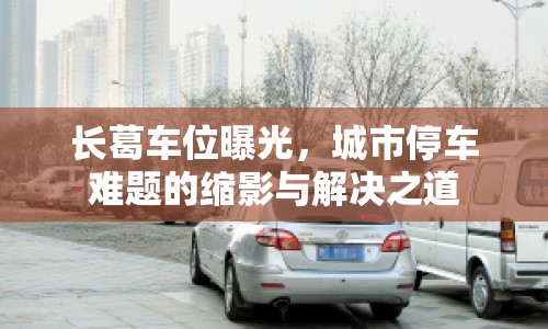 長(zhǎng)葛車位曝光，城市停車難題的縮影與解決之道