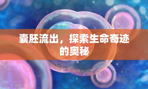 囊胚流出，探索生命奇跡的奧秘