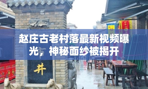 趙莊古老村落最新視頻曝光，神秘面紗被揭開