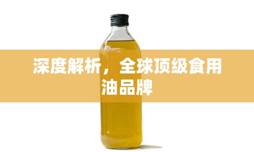 深度解析，全球頂級(jí)食用油品牌
