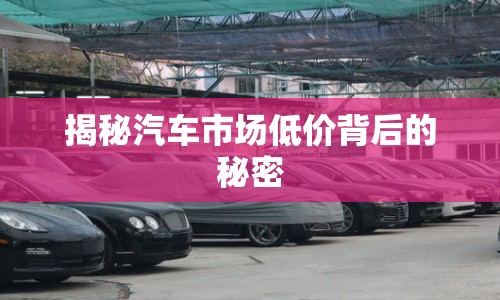 揭秘汽車市場低價背后的秘密