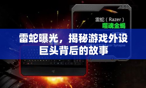 雷蛇曝光，揭秘游戲外設(shè)巨頭背后的故事