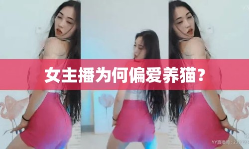 女主播為何偏愛養(yǎng)貓？