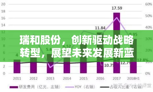瑞和股份，創(chuàng)新驅(qū)動戰(zhàn)略轉(zhuǎn)型，展望未來發(fā)展新藍圖