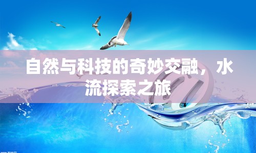 自然與科技的奇妙交融，水流探索之旅