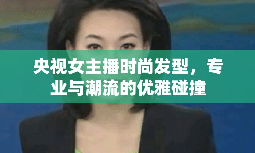 央視女主播時(shí)尚發(fā)型，專業(yè)與潮流的優(yōu)雅碰撞
