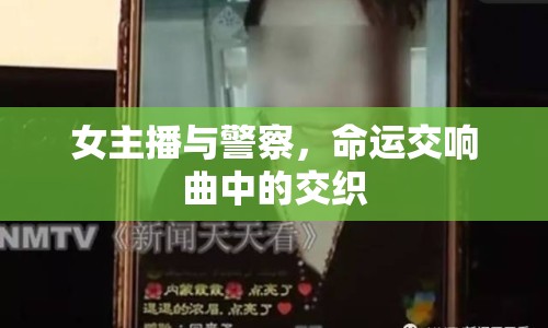 女主播與警察，命運(yùn)交響曲中的交織