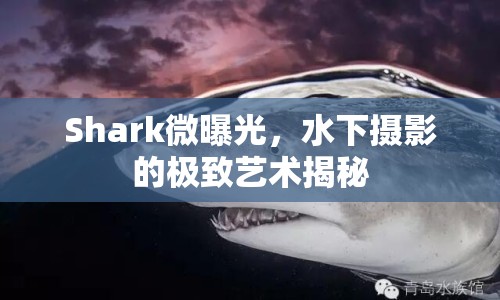Shark微曝光，水下攝影的極致藝術(shù)揭秘