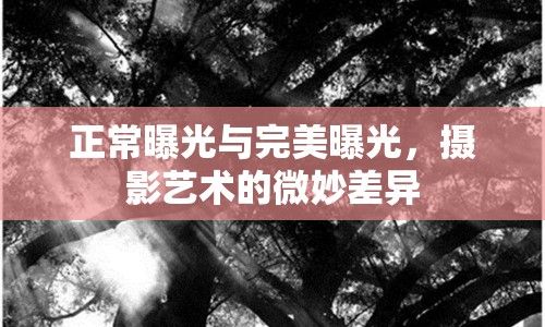 正常曝光與完美曝光，攝影藝術(shù)的微妙差異