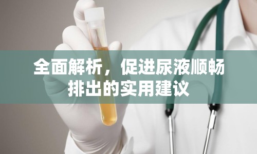 全面解析，促進(jìn)尿液順暢排出的實(shí)用建議