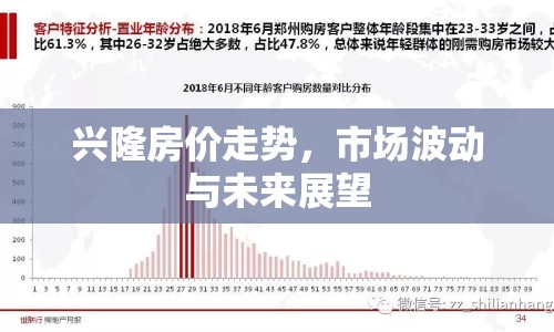 興隆房價走勢，市場波動與未來展望