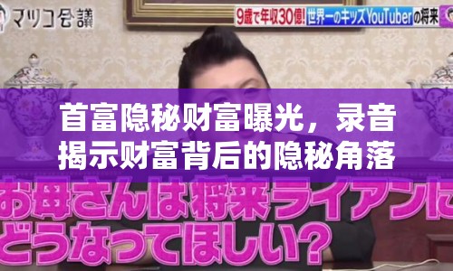 首富隱秘財(cái)富曝光，錄音揭示財(cái)富背后的隱秘角落