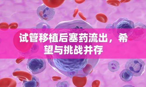 試管移植后塞藥流出，希望與挑戰(zhàn)并存