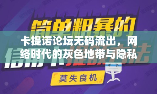 卡提諾論壇無碼流出，網(wǎng)絡(luò)時代的灰色地帶與隱私泄露