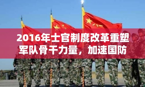 2016年士官制度改革重塑軍隊(duì)骨干力量，加速國(guó)防現(xiàn)代化建設(shè)步伐