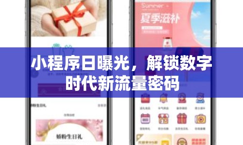 小程序日曝光，解鎖數(shù)字時代新流量密碼
