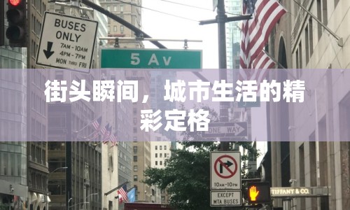 街頭瞬間，城市生活的精彩定格
