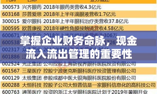 掌握企業(yè)財(cái)務(wù)命脈，現(xiàn)金流入流出管理的重要性