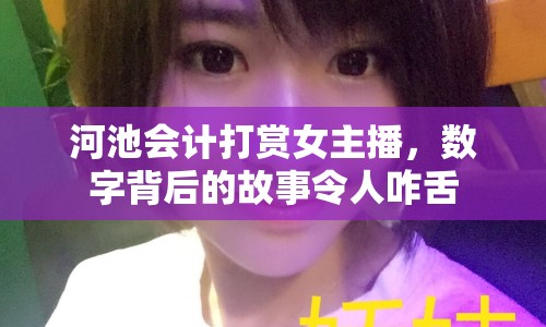 河池會(huì)計(jì)打賞女主播，數(shù)字背后的故事令人咋舌