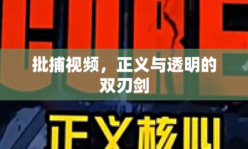 批捕視頻，正義與透明的雙刃劍