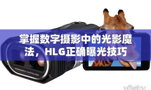 掌握數(shù)字攝影中的光影魔法，HLG正確曝光技巧