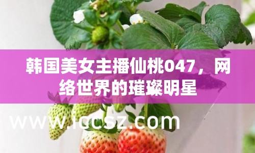 韓國美女主播仙桃047，網(wǎng)絡(luò)世界的璀璨明星