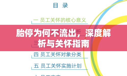 胎停為何不流出，深度解析與關(guān)懷指南