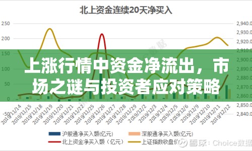 上漲行情中資金凈流出，市場(chǎng)之謎與投資者應(yīng)對(duì)策略