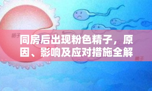 同房后出現(xiàn)粉色精子，原因、影響及應(yīng)對(duì)措施全解析