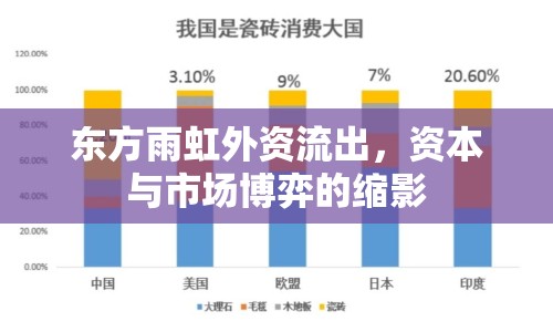 東方雨虹外資流出，資本與市場(chǎng)博弈的縮影