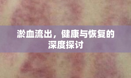 淤血流出，健康與恢復(fù)的深度探討