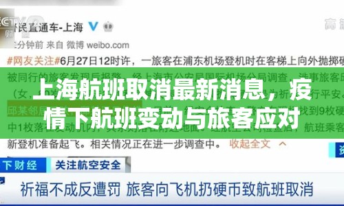 上海航班取消最新消息，疫情下航班變動與旅客應(yīng)對策略
