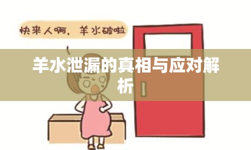 羊水泄漏的真相與應(yīng)對解析