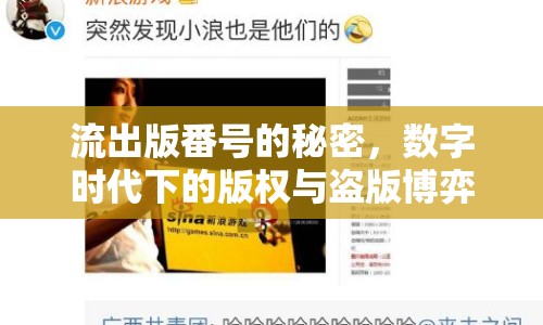 流出版番號的秘密，數(shù)字時代下的版權(quán)與盜版博弈