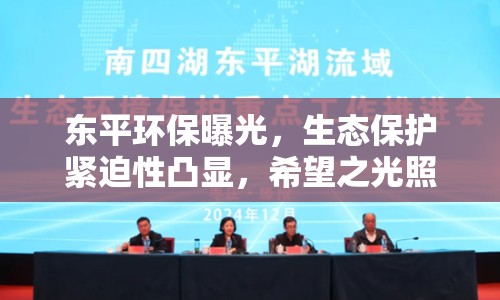 東平環(huán)保曝光，生態(tài)保護緊迫性凸顯，希望之光照亮未來