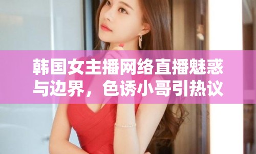 韓國(guó)女主播網(wǎng)絡(luò)直播魅惑與邊界，色誘小哥引熱議