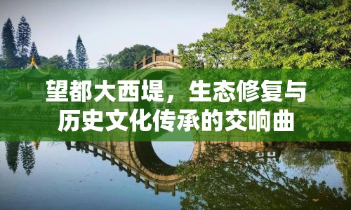 望都大西堤，生態(tài)修復(fù)與歷史文化傳承的交響曲