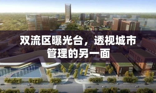 雙流區(qū)曝光臺，透視城市管理的另一面
