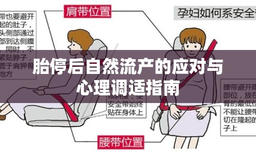 胎停后自然流產(chǎn)的應(yīng)對與心理調(diào)適指南