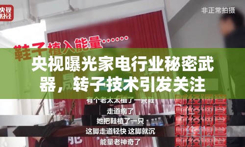 央視曝光家電行業(yè)秘密武器，轉(zhuǎn)子技術(shù)引發(fā)關(guān)注