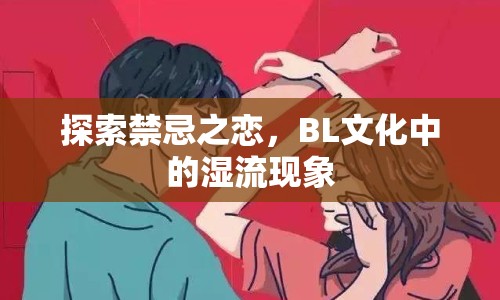 探索禁忌之戀，BL文化中的濕流現(xiàn)象