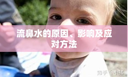 流鼻水的原因、影響及應(yīng)對(duì)方法